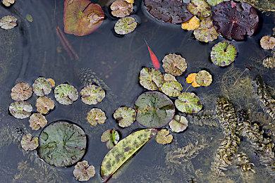 《金庸群侠传》面部捕捉技术展示 坚持硬派写实画风